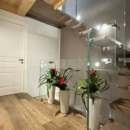 Aura Marina *